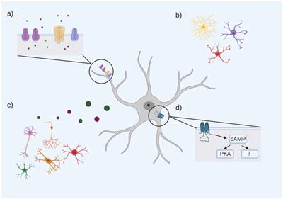 Ion Channels and Electrophysiological Properties of Astrocytes: Implications for Emergent Stimulation Technologies